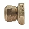 Coupon 😀 Mueller Company 3/4 in. Compression x Female Brass Coupling ⌛ -Mueller Company Shop Query 1348