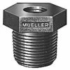 Flash Sale 💯 Mueller Company 3/4 in. IPT Brass Plug 🛒 -Mueller Company Shop Query 1422