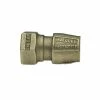 Budget 👏 Mueller Company 3/4 in. Female Flare x CTS Brass Coupling 🎉 1 Budget 👏 Mueller Company 3/4 in. Female Flare x CTS Brass Coupling 🎉 -Mueller Company Shop Query 470
